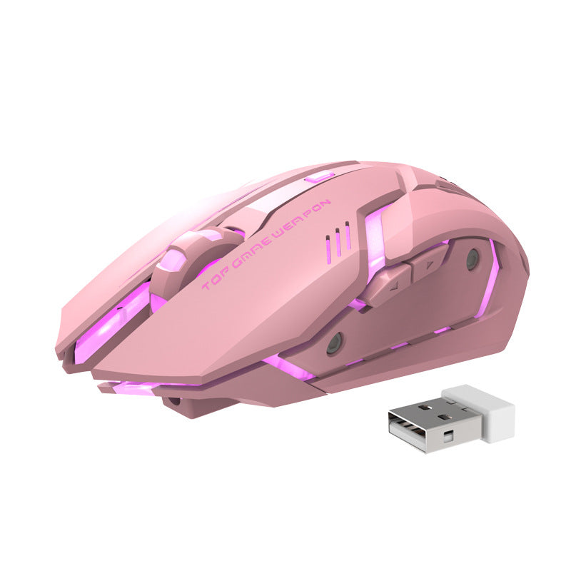 Wireless RGB Gaming Mouse Silent Click 2.4GHz Rechargeable Ergonomic