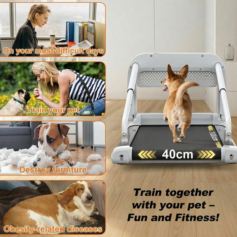 EU New Quiet Smart Pet Treadmill, Adjustable Speed, Perfect For Small Mid-Sized Dogs, Pet Treadmill