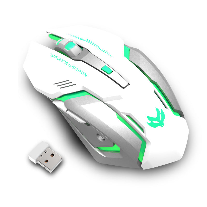 Wireless RGB Gaming Mouse Silent Click 2.4GHz Rechargeable Ergonomic