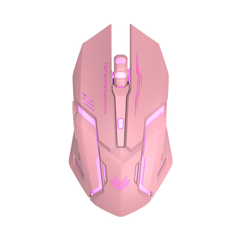 Wireless RGB Gaming Mouse Silent Click 2.4GHz Rechargeable Ergonomic