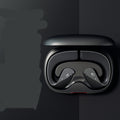 T20 Open-Ear True Wireless Earbuds | 14.2mm Driver | IPX4 Waterproof