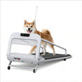 EU New Quiet Smart Pet Treadmill, Adjustable Speed, Perfect For Small Mid-Sized Dogs, Pet Treadmill