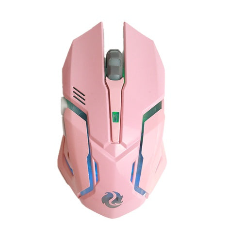 Wireless RGB Gaming Mouse Silent Click 2.4GHz Rechargeable Ergonomic