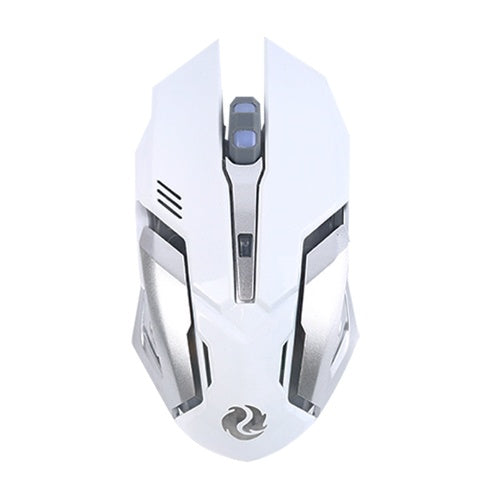 Wireless RGB Gaming Mouse Silent Click 2.4GHz Rechargeable Ergonomic