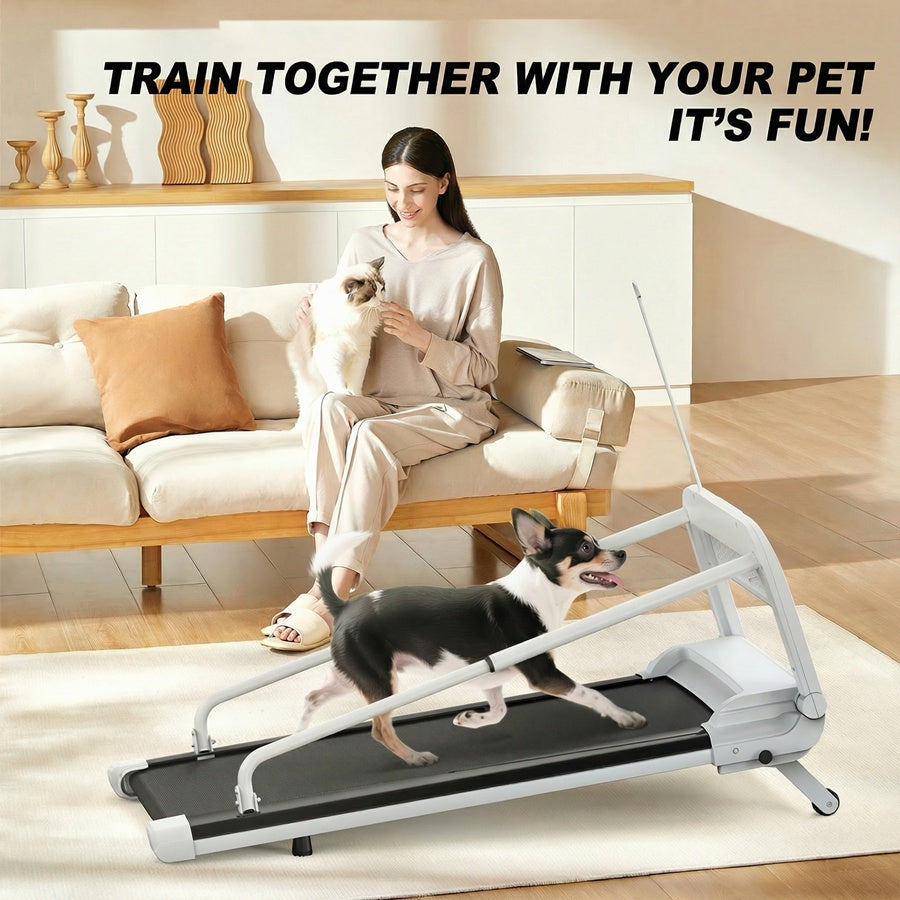 EU New Quiet Smart Pet Treadmill, Adjustable Speed, Perfect For Small Mid-Sized Dogs, Pet Treadmill