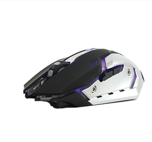 Wireless RGB Gaming Mouse Silent Click 2.4GHz Rechargeable Ergonomic