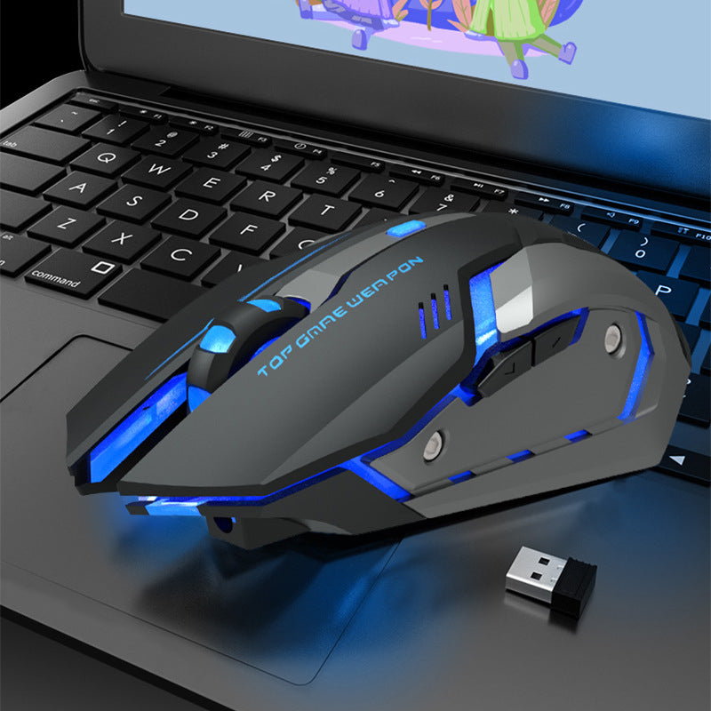 Wireless RGB Gaming Mouse Silent Click 2.4GHz Rechargeable Ergonomic